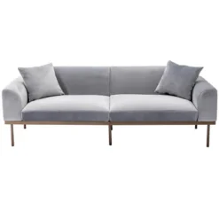 Modern Velvet Loveseat Sofa With Metal Legs And Two Pillows-ModernLuxe -Furniture Store GUEST a0c26083 dfb0 4b01 8d08 97e0614cc543